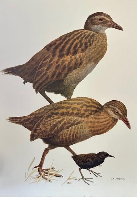 b2ap3_large_Marlborough-Antiques-Logo ***So Much Happening Here at Armoury Antiques and Militaria*** - Armoury Antiques | Marlborough Antiques