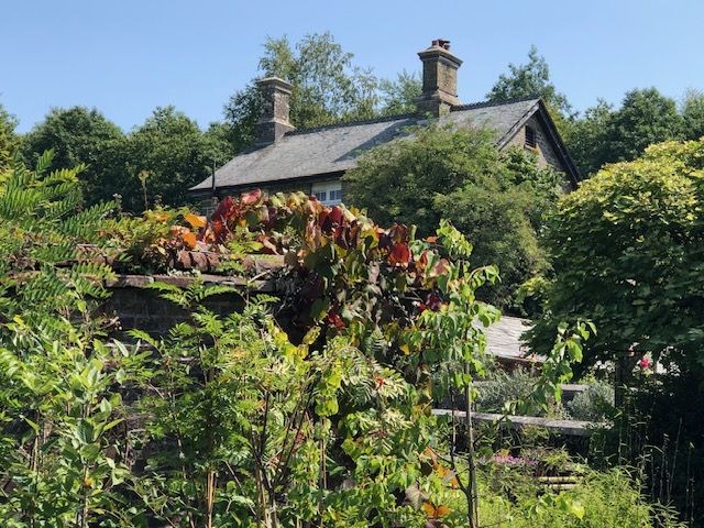 ***During Our Move Follow Our Youtube Videos***