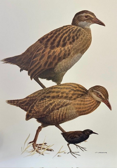 Marlborough Antiques, New Zealand